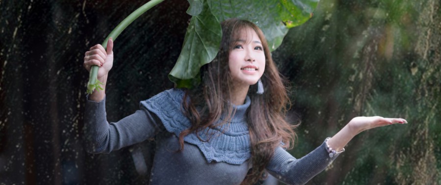 搜狗截图20230115164723.png